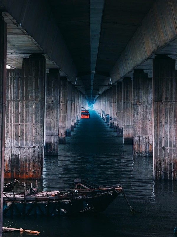 1621583420538618.jpg 二等獎:橋墩下的守望者.JPG