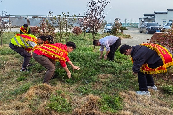 1647514466528226.jpg 1647514466528226.jpg