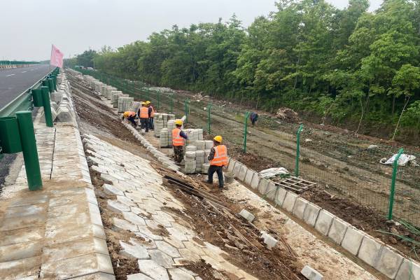 1651838582178409.jpg 圖3.jpg